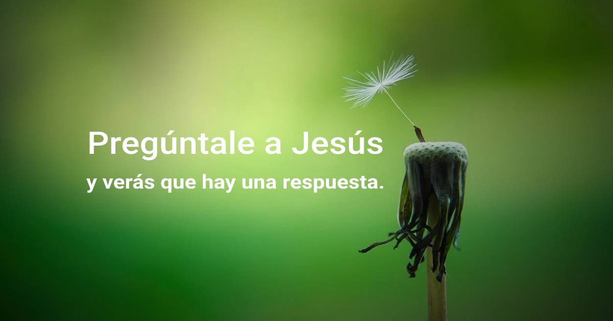 preguntale a Jesús