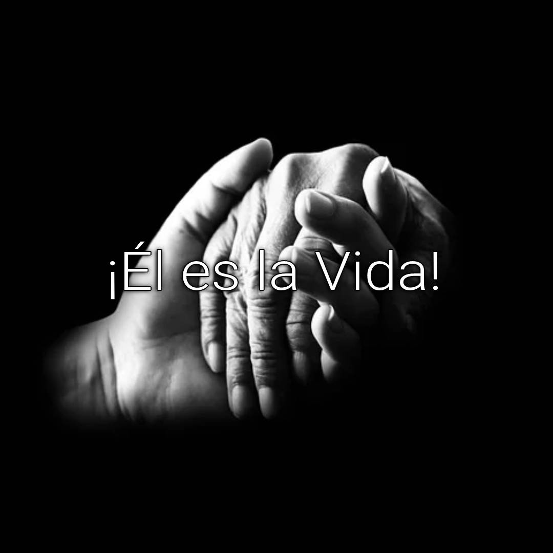 Vida