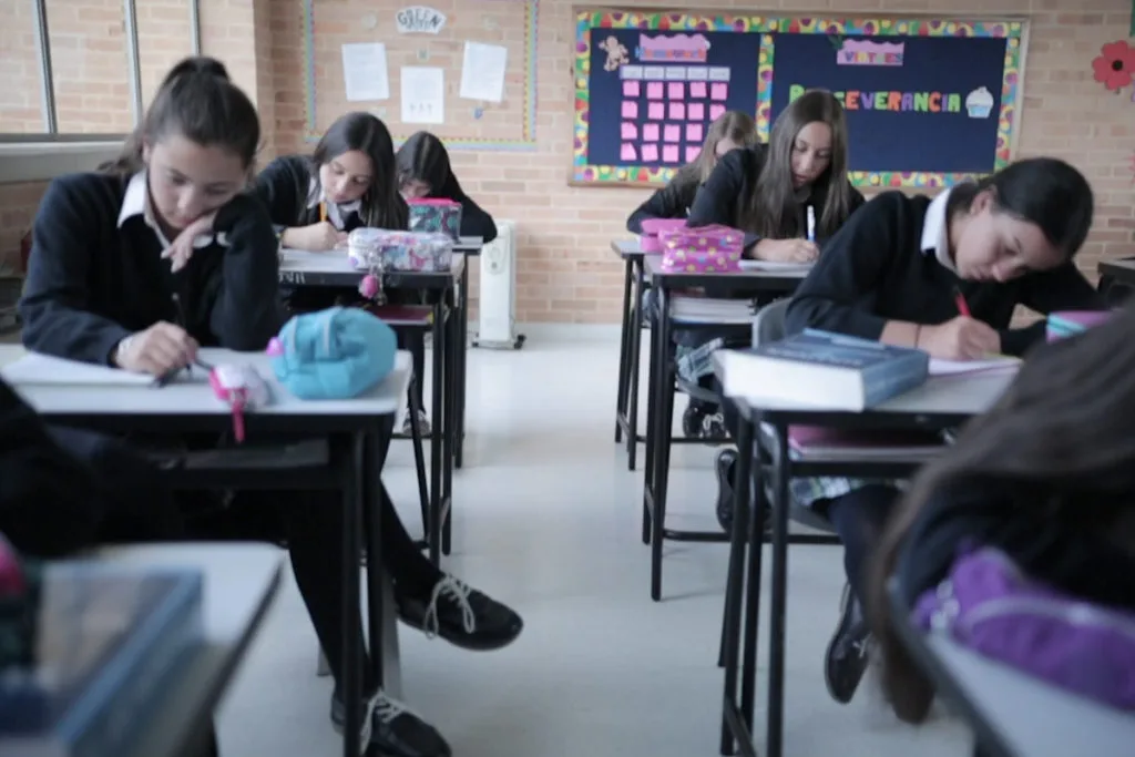 Más allá del aula: el educador como guía, testigo y sembrador