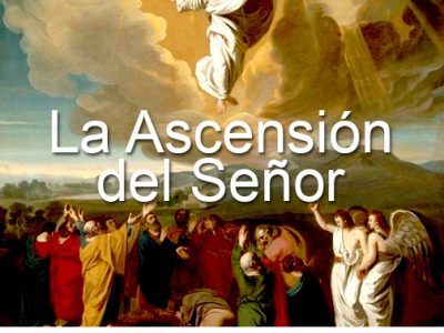Domingo 8 de mayo -La Ascensión del Señor- Hoy, Cristo nos envía.