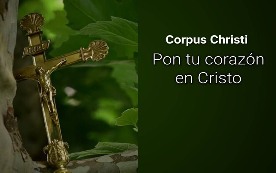 corpus christi