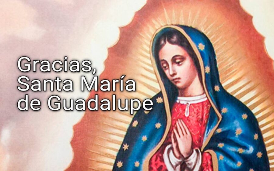 Gracias, Santa María de Guadalupe