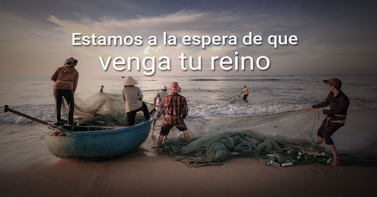 redes