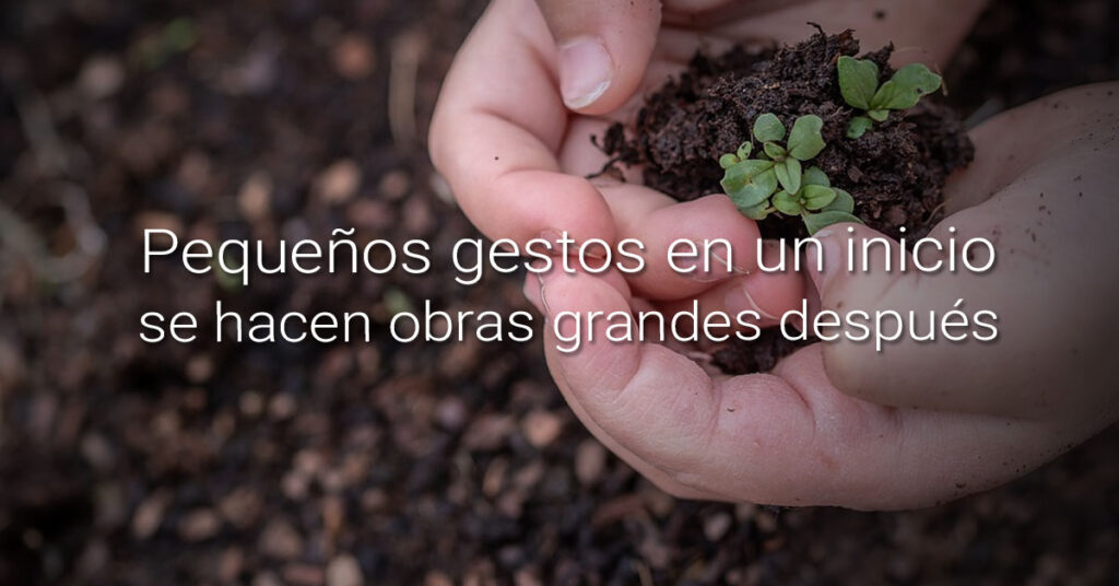 semillas