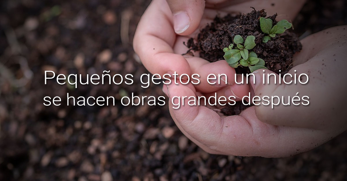 semillas