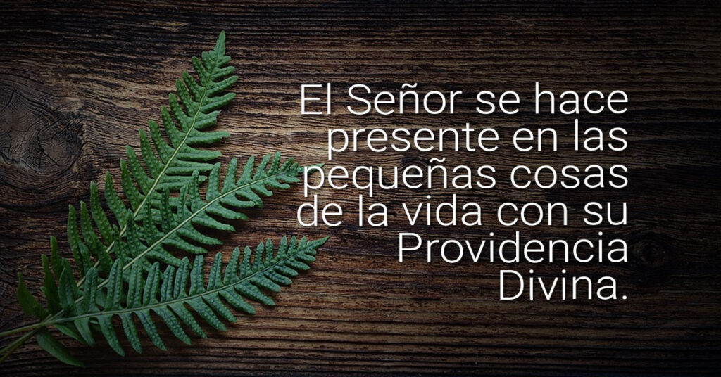providencia divina