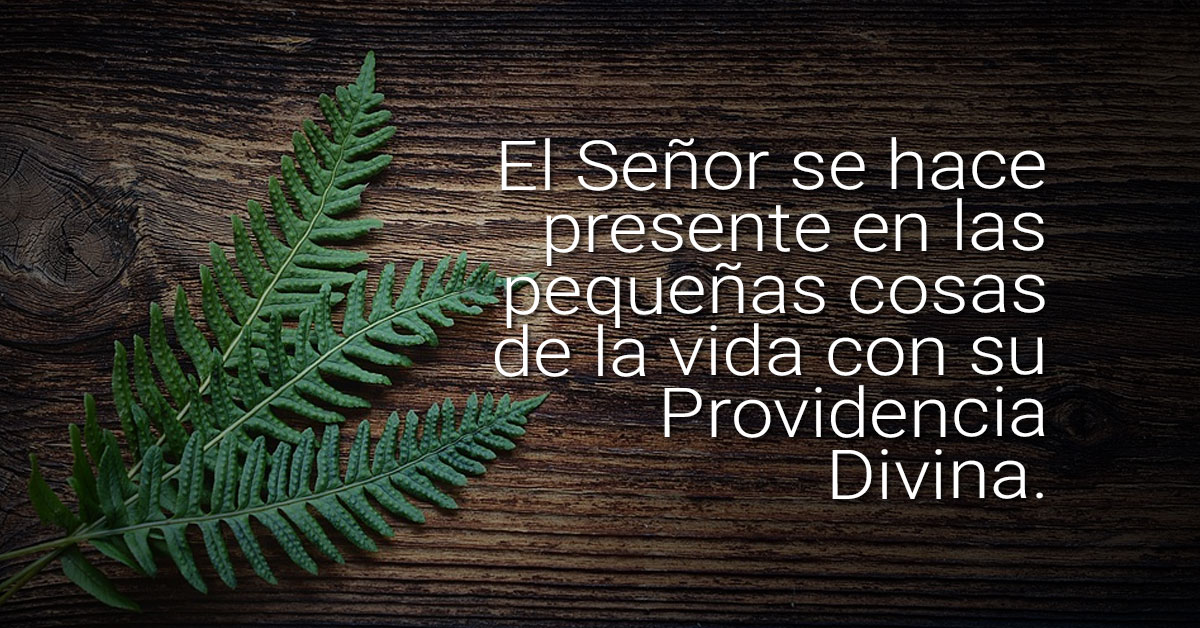 providencia divina
