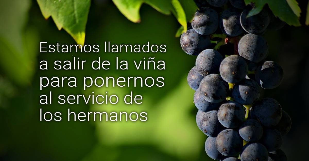 viña