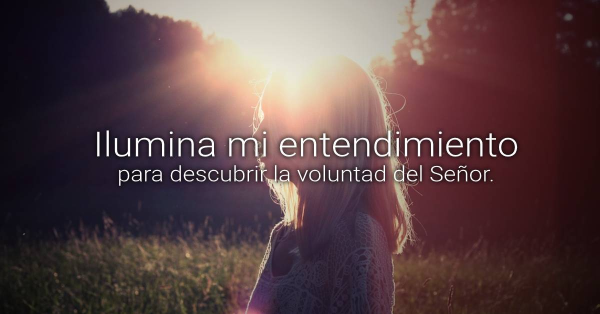 voluntad
