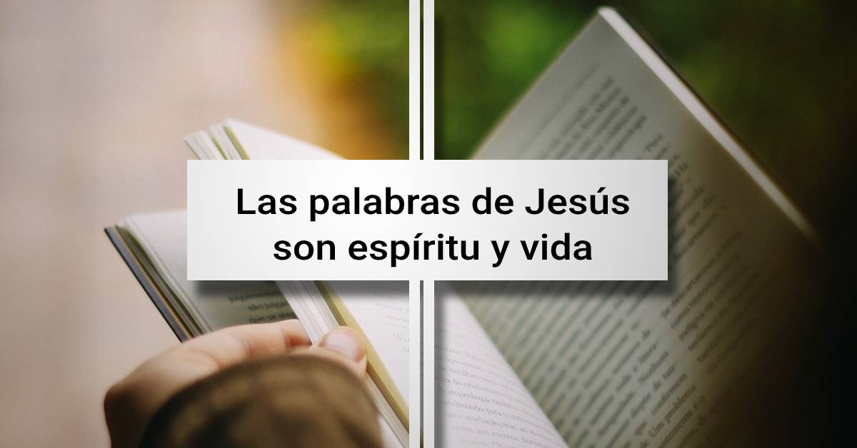 espíritu y vida