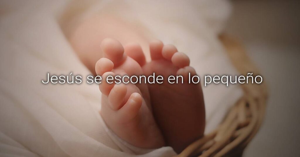 lo pequeño