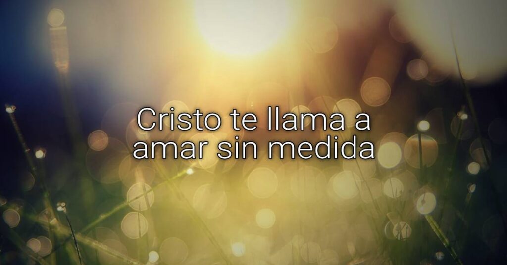 amar sin medida
