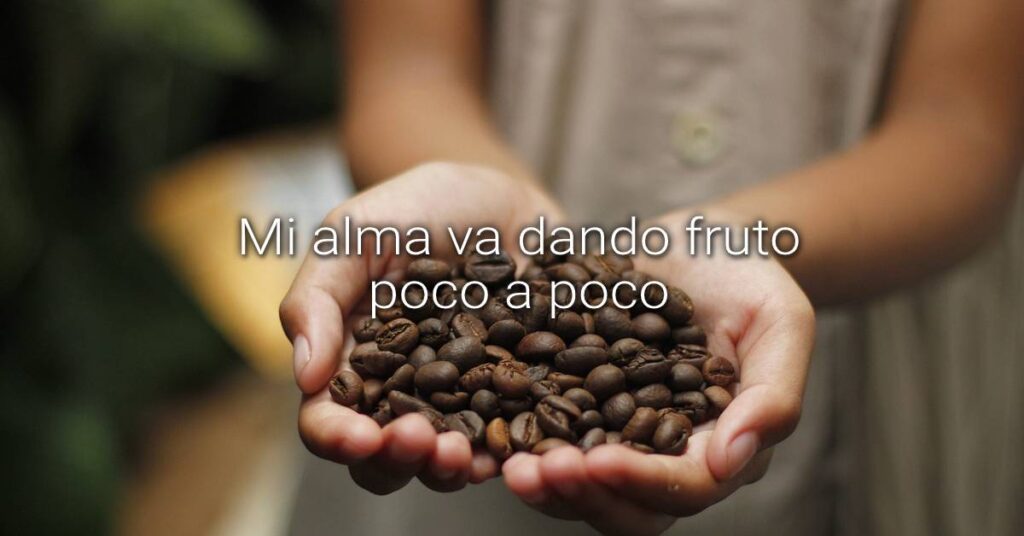 fruto