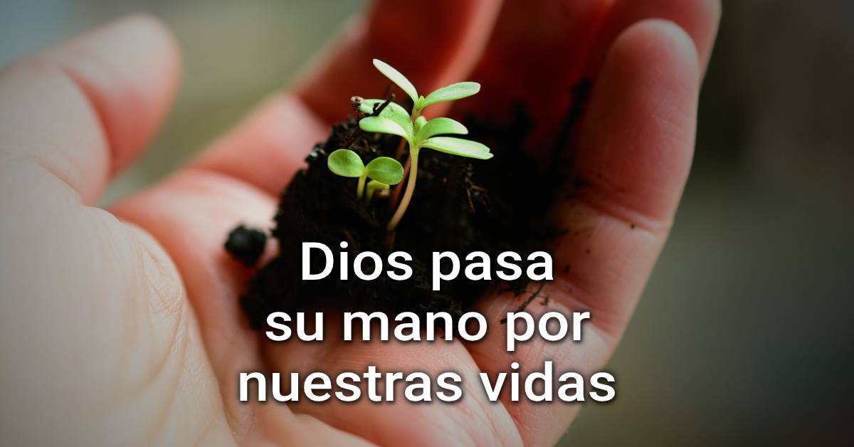 nuestra vida