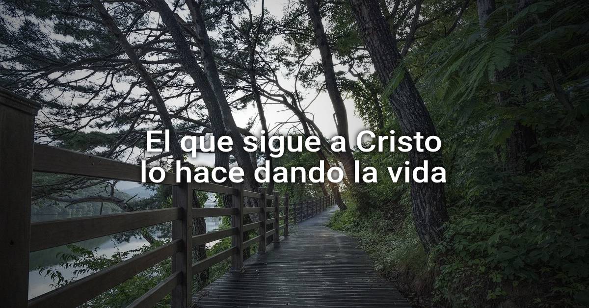 El que sigue a Cristo lo hace dando la vida