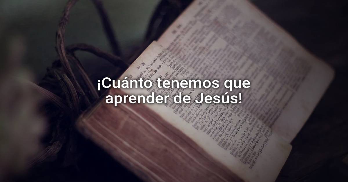 we have to learn