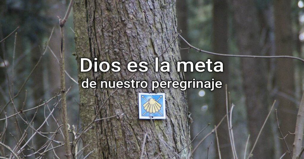 la meta