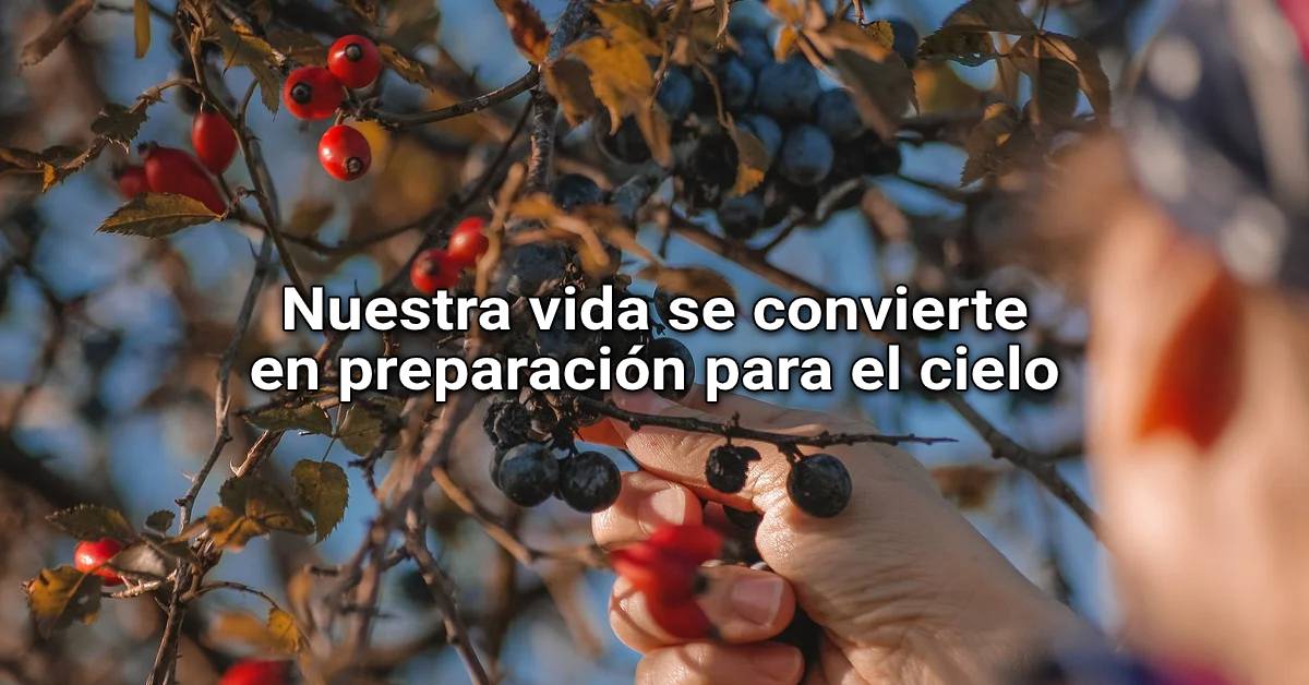 preparación para el cielo