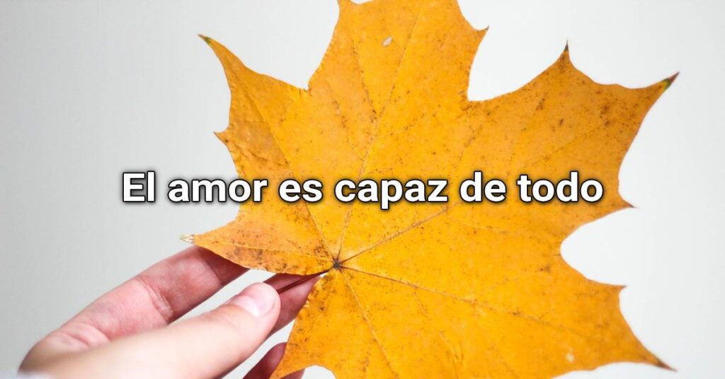 el amor es capaz de todo
