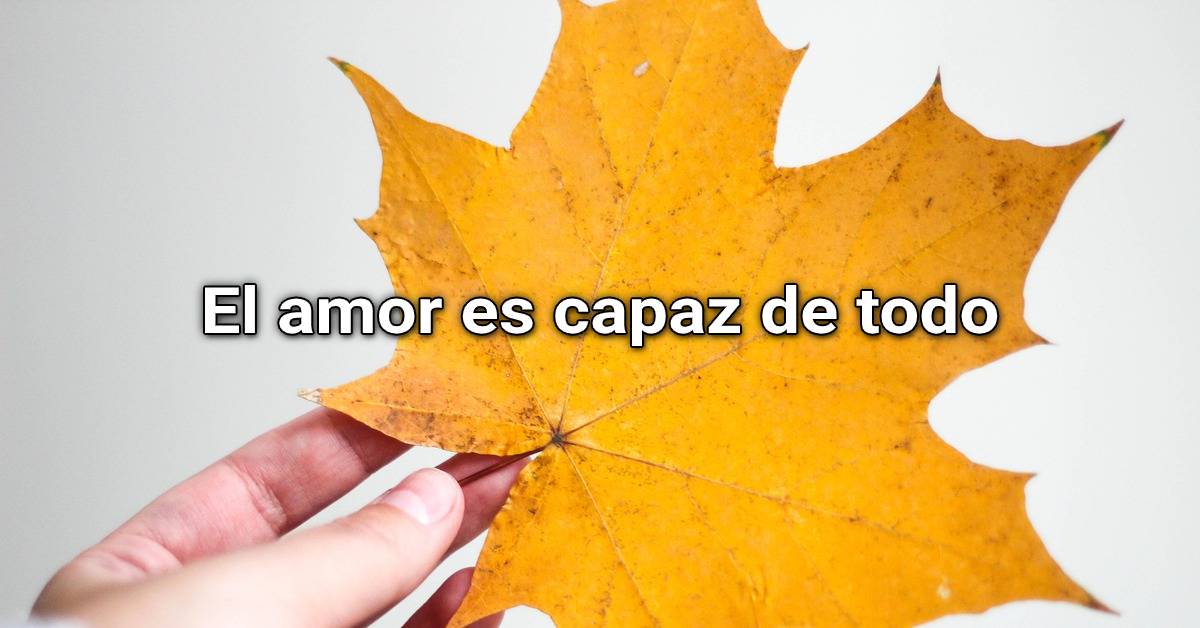 el amor es capaz de todo