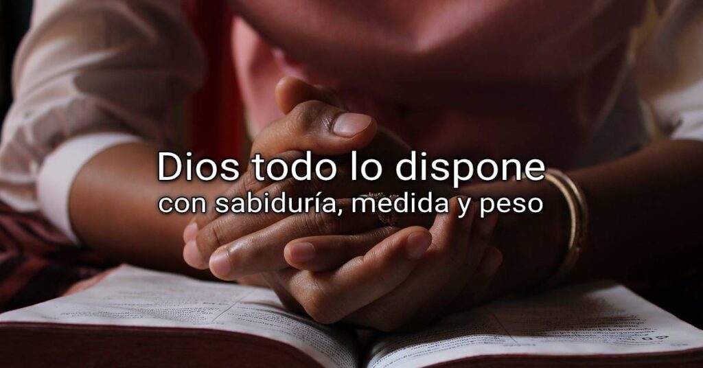 todo lo dispone