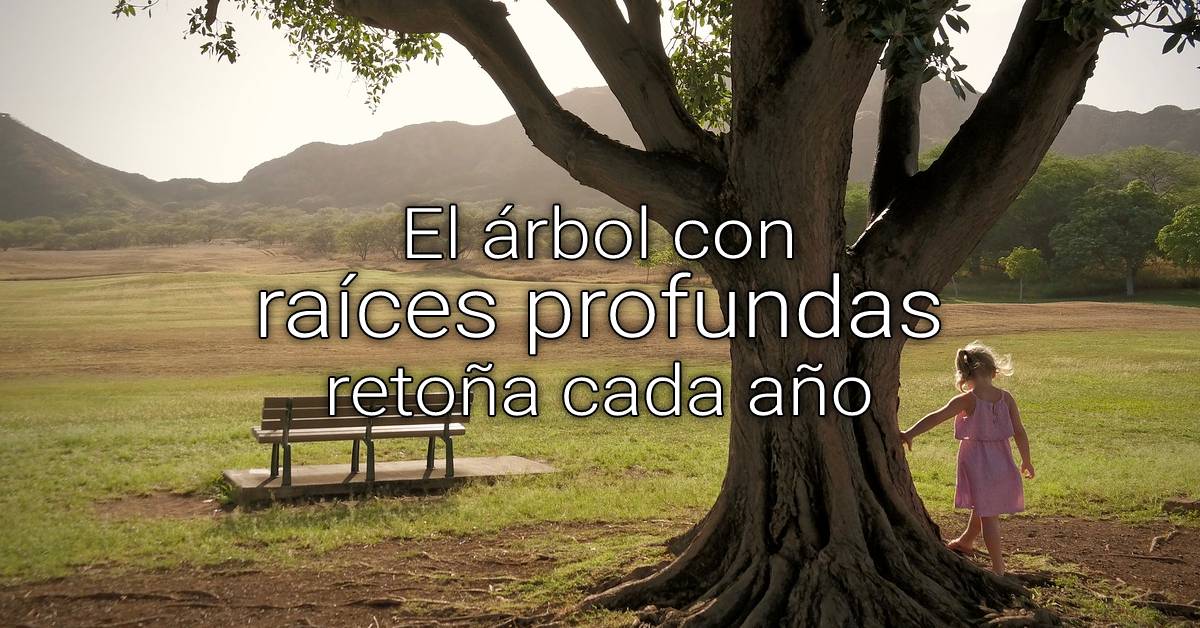 raíces profundas