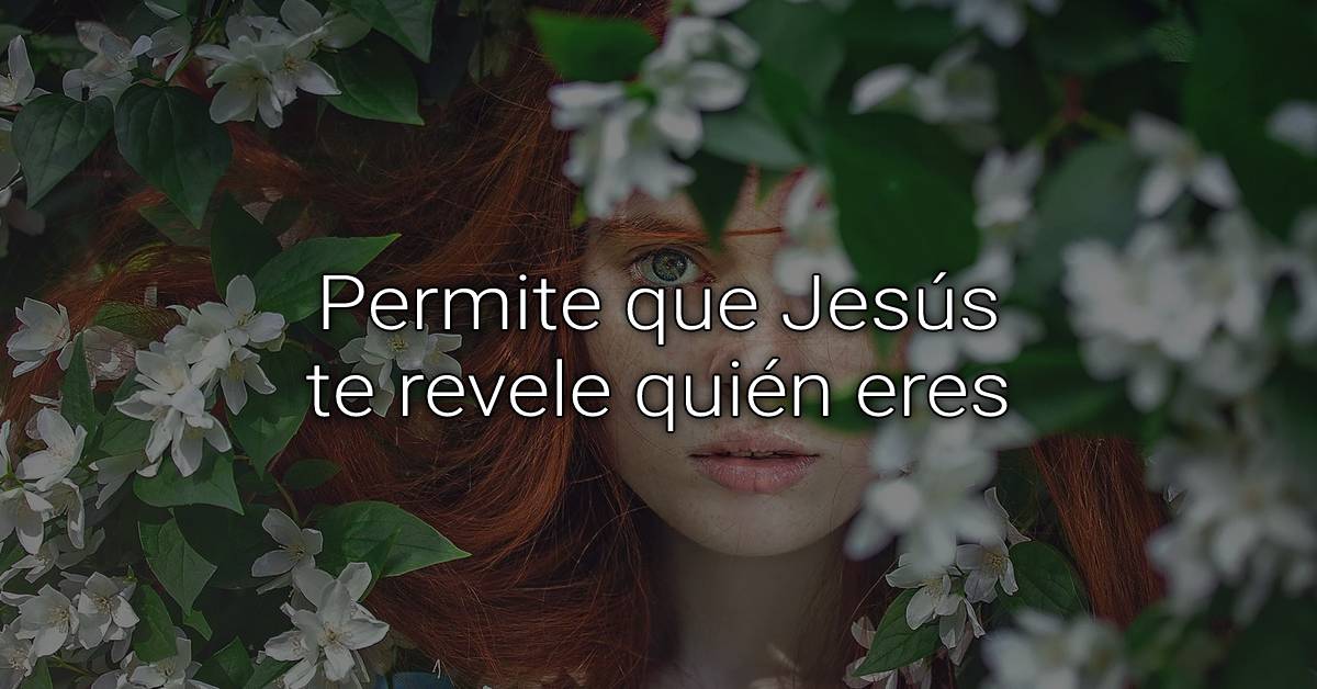 quiénes somos