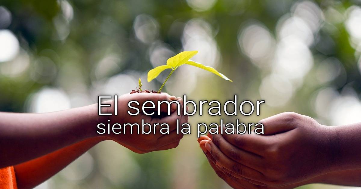 siembra la palabra
