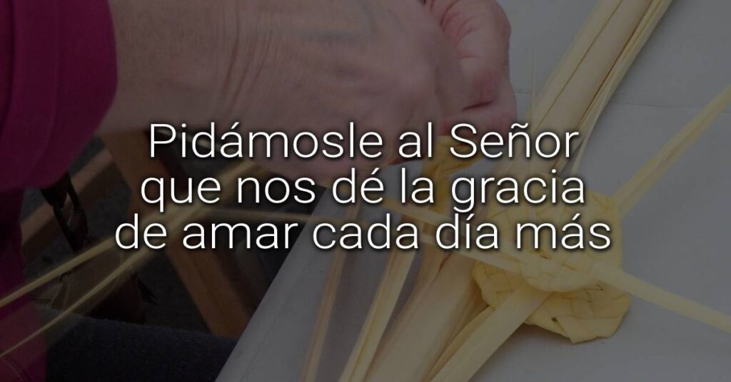amar cada día más