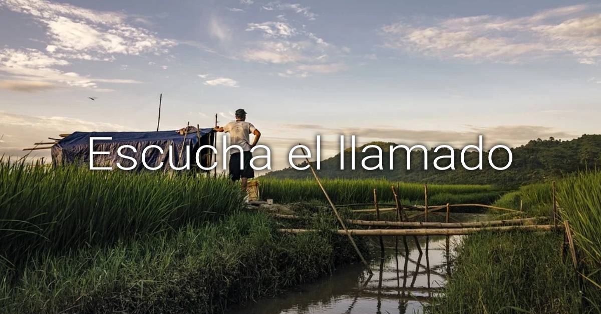 llamados