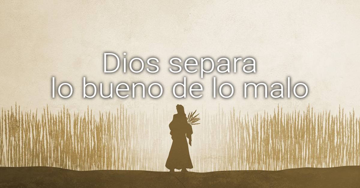 Dios separa lo bueno de lo malo