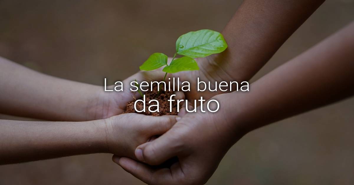 semilla