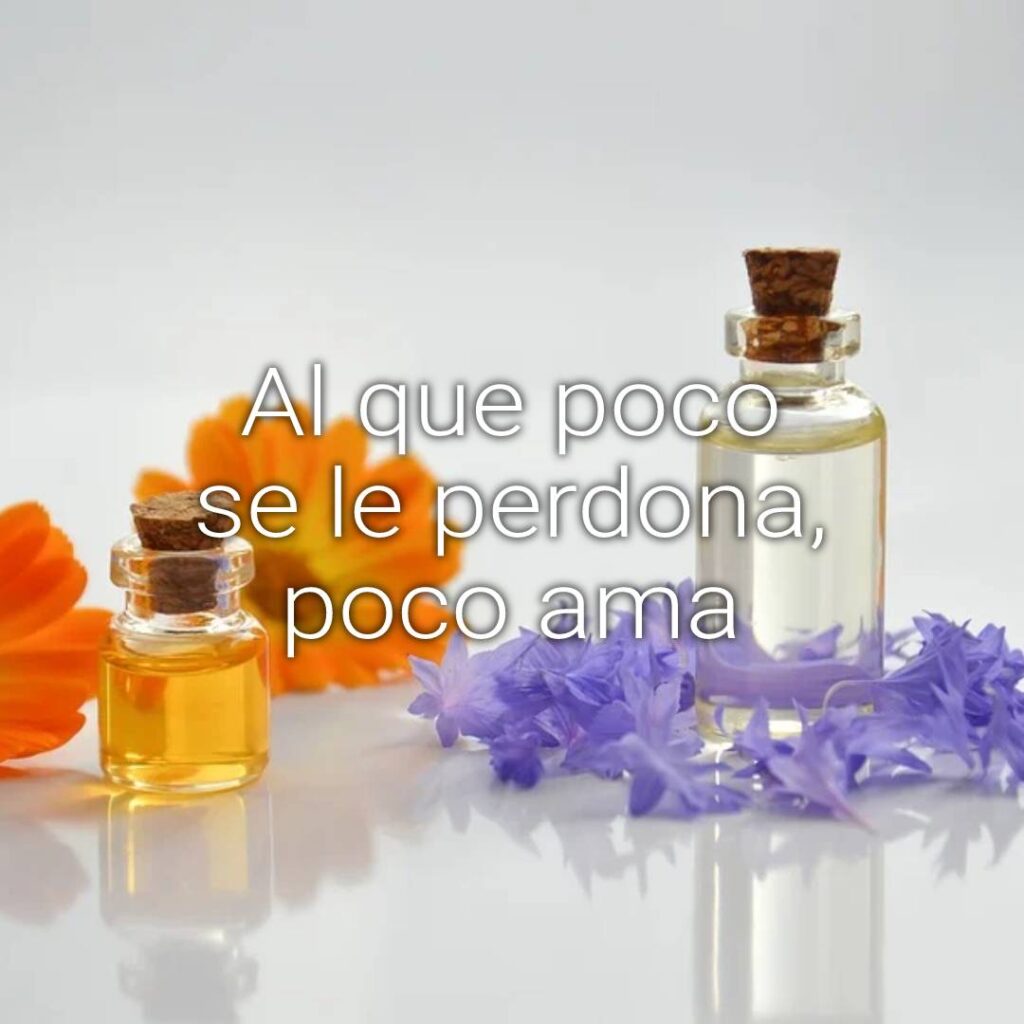 perdonar