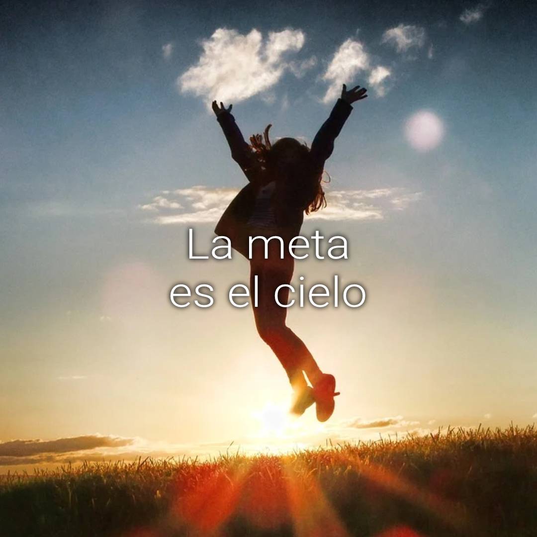 la meta