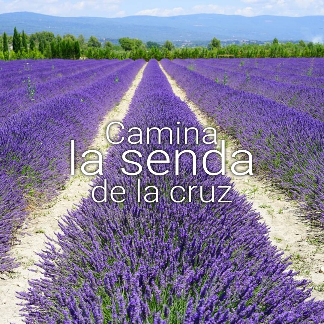 la cruz