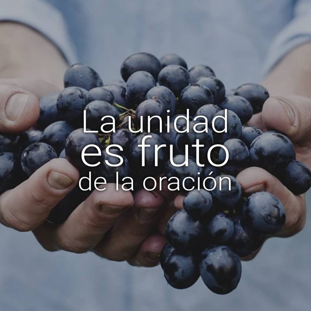 unidad
