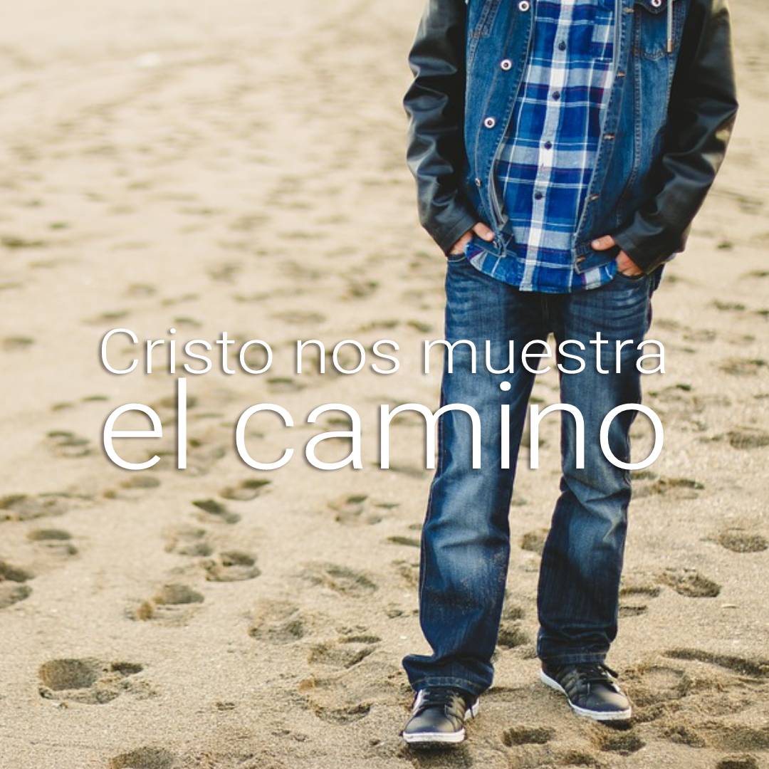 camino