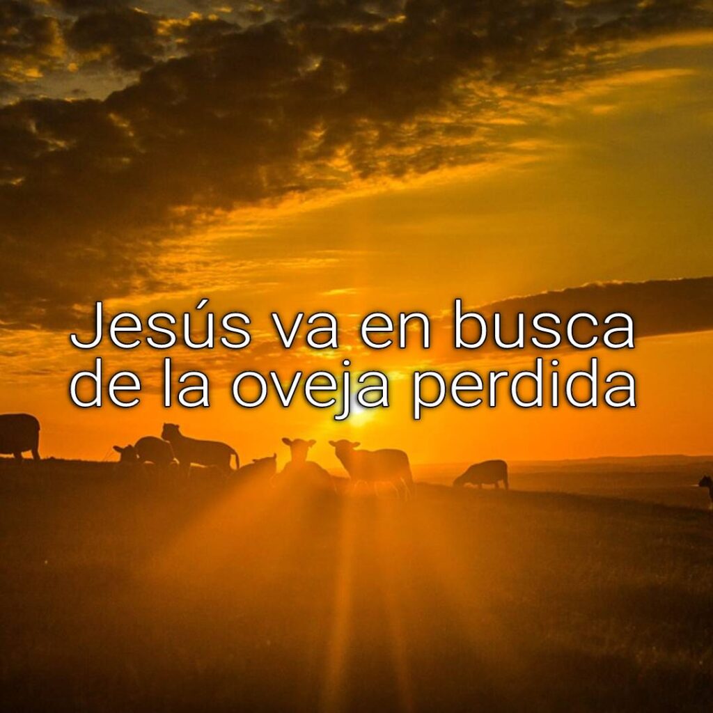 oveja perdida
