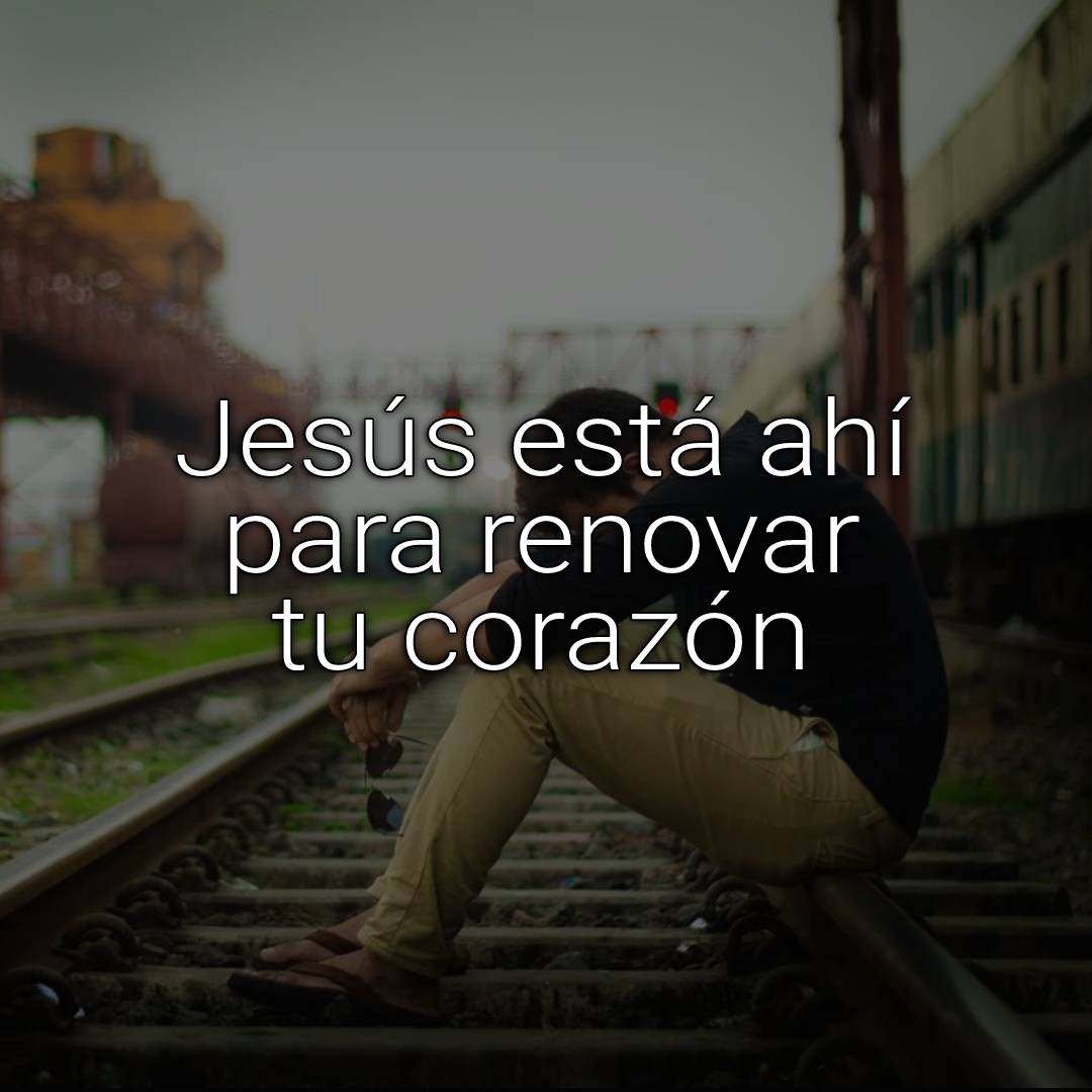 renovar