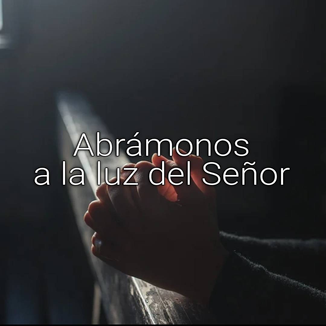 ciego