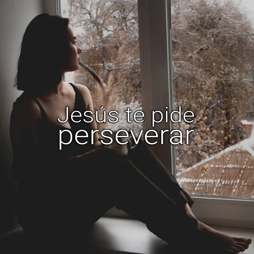 perseverance