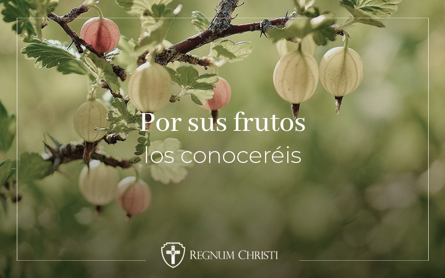 Coherentes con nuestra fe