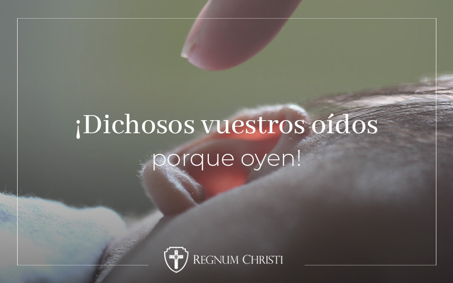 ¿Qué tipo de familia somos?