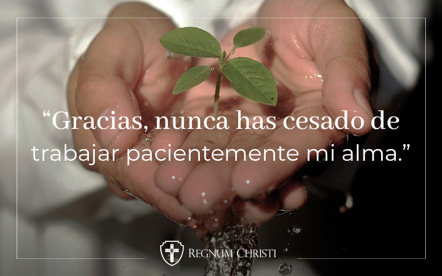 ¿De verdad creo en ti, Señor?
