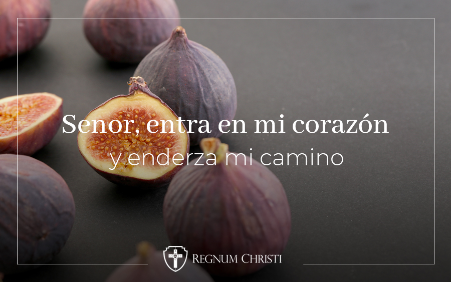 Communicating Christ