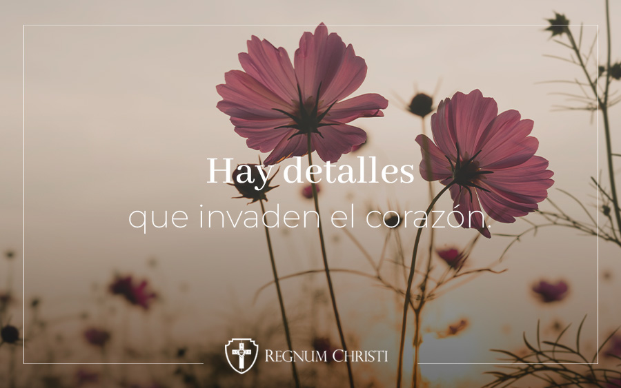 Let us trust in Jesus