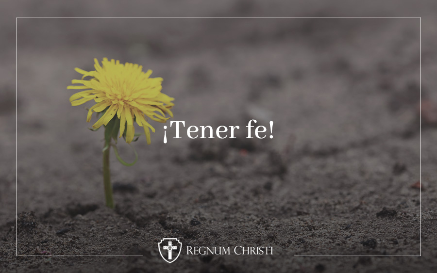 Mujer, ¡qué grande es tu fe!